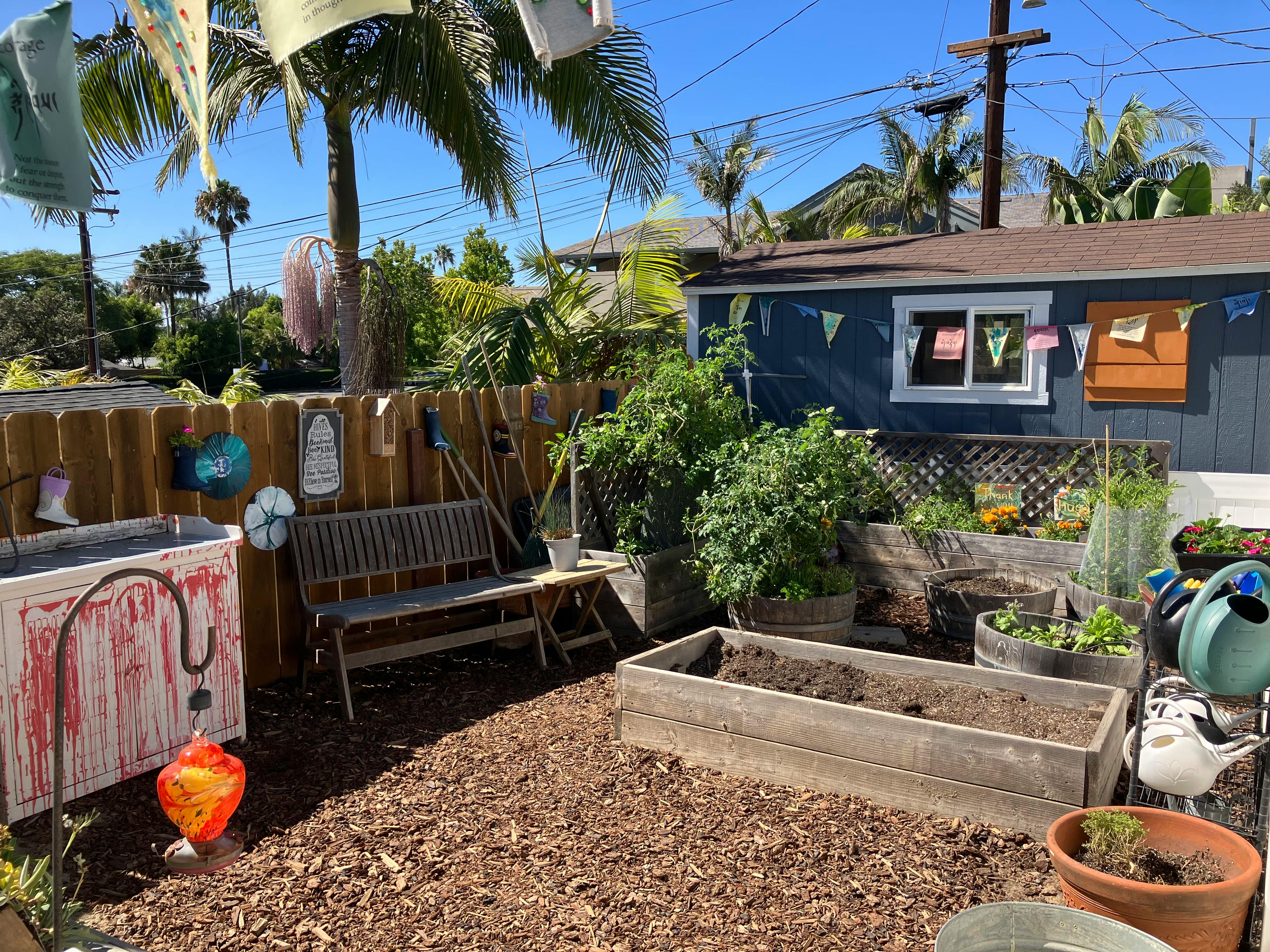 Backyard garden with raised beds, a wooden fence, and a shed