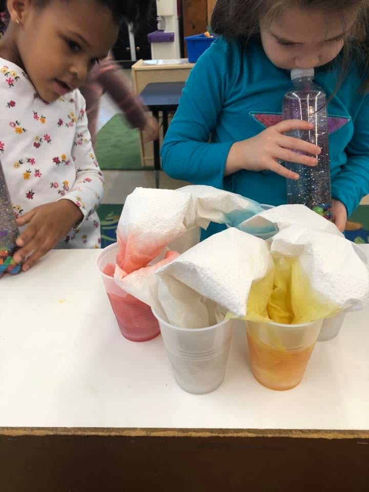 Two children observing a science experiment with colored liquids and paper towels