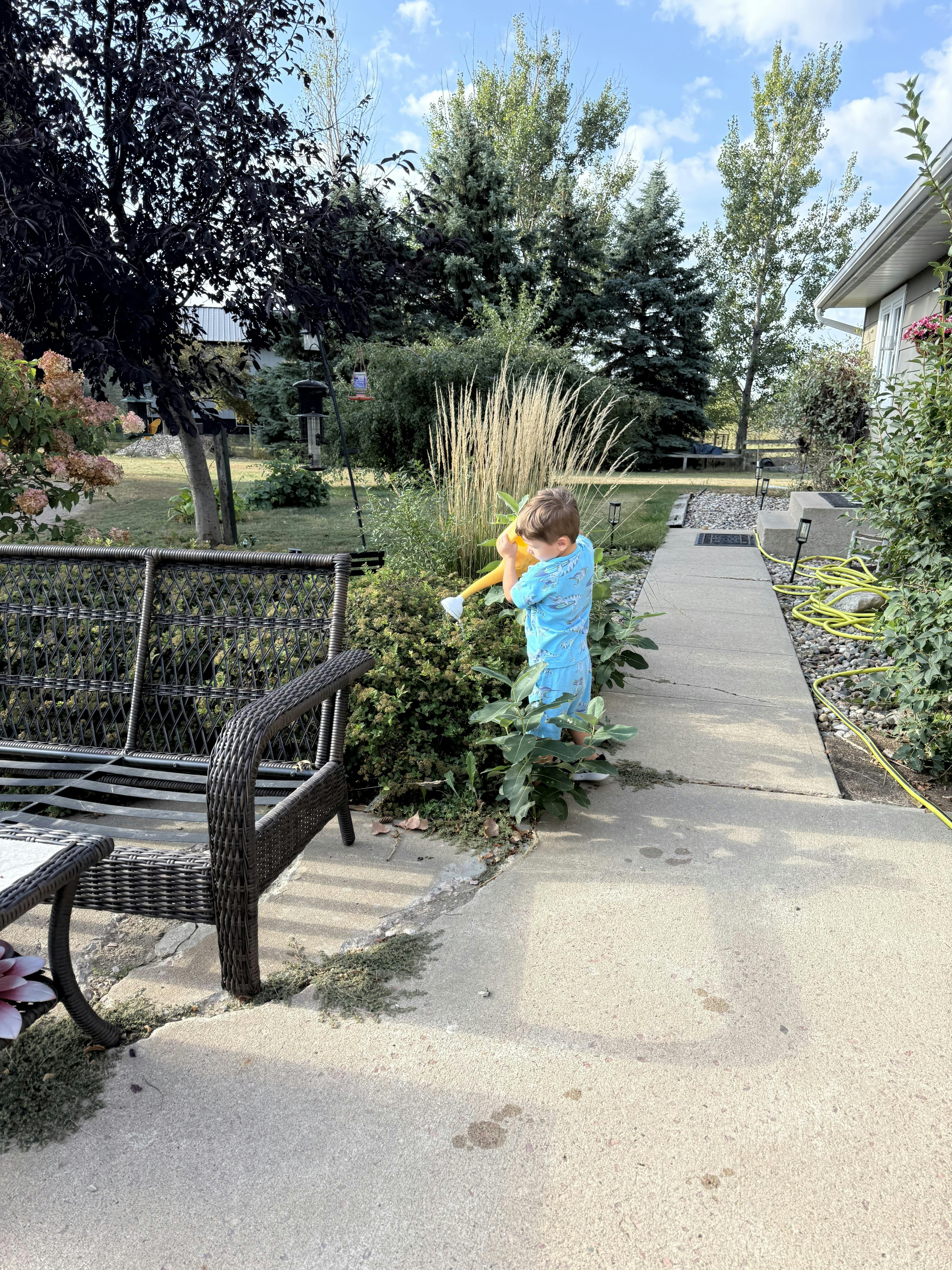 Child watering plants with a yellow watering can