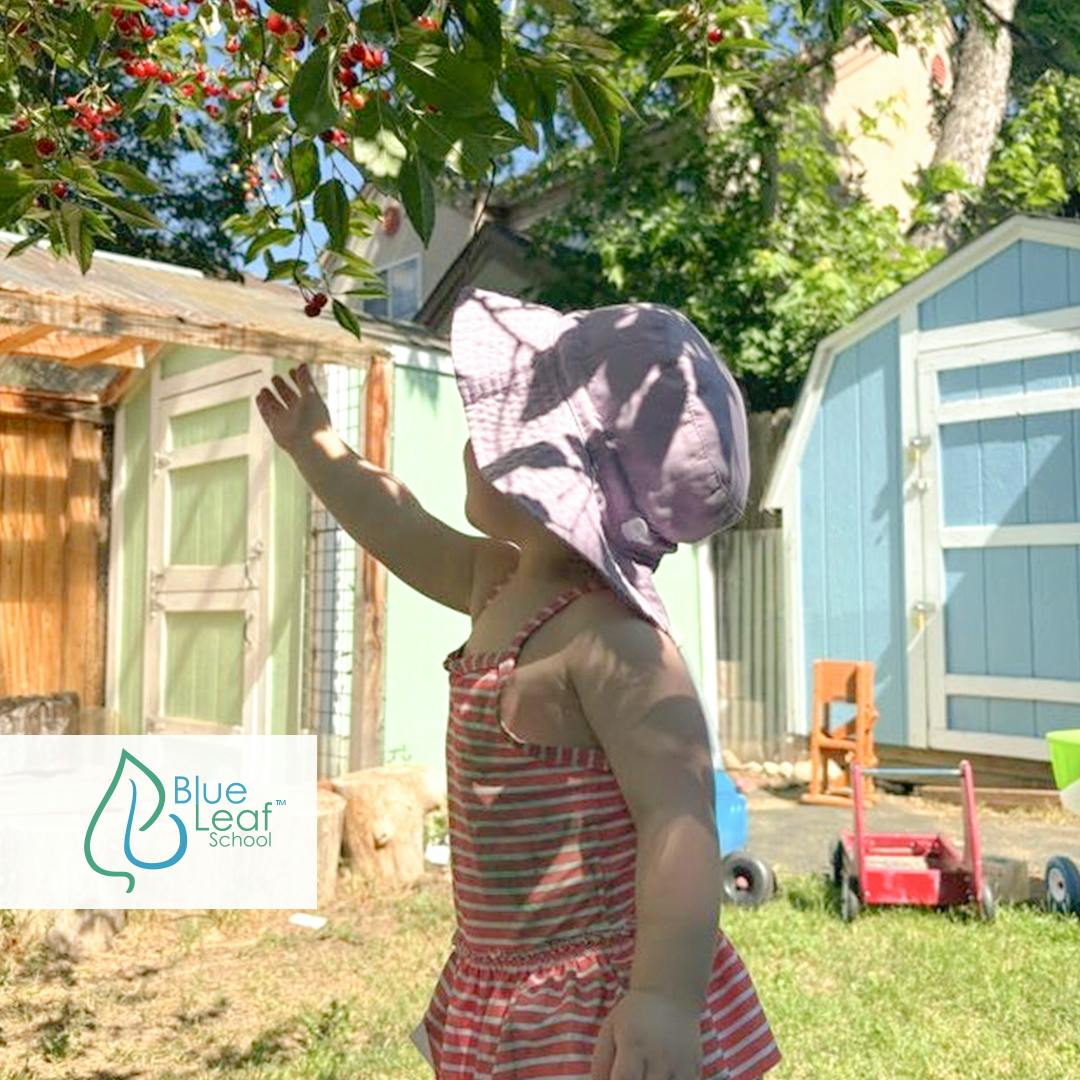 Child in a hat reaching up towards berries on a tree