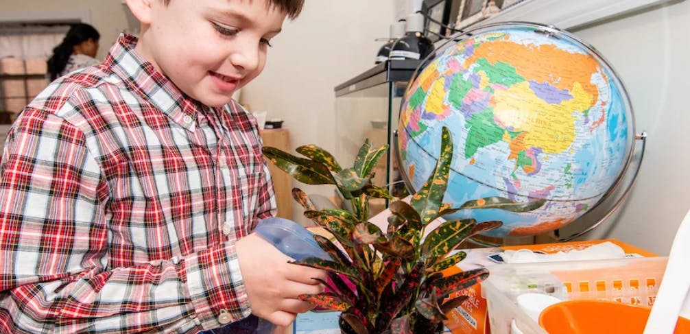 Child watering a plant with a spray bottle