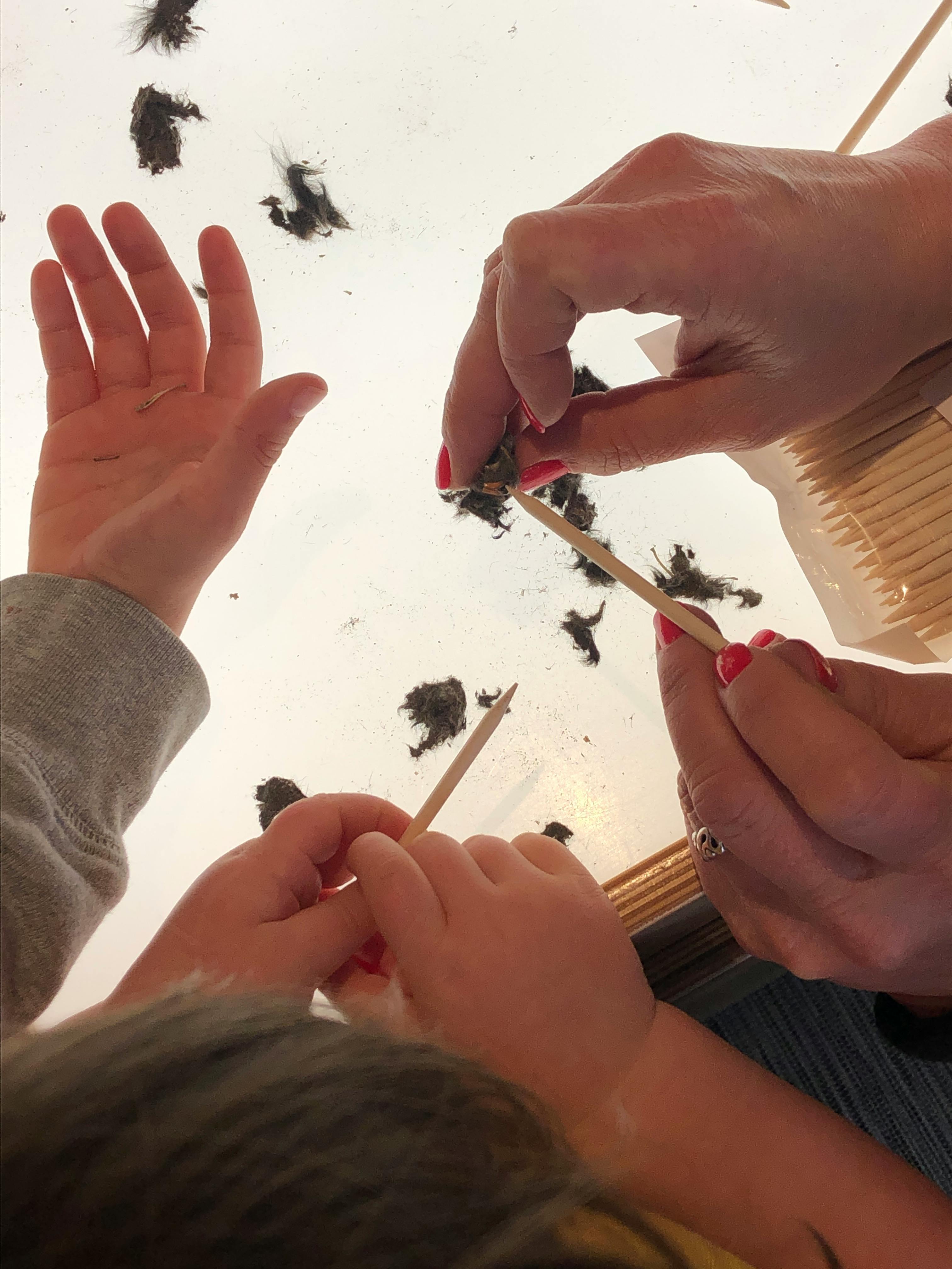 Two people using toothpicks to pick up small dark objects
