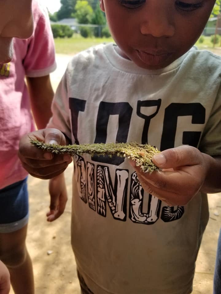 Child holding a handful of green plant material