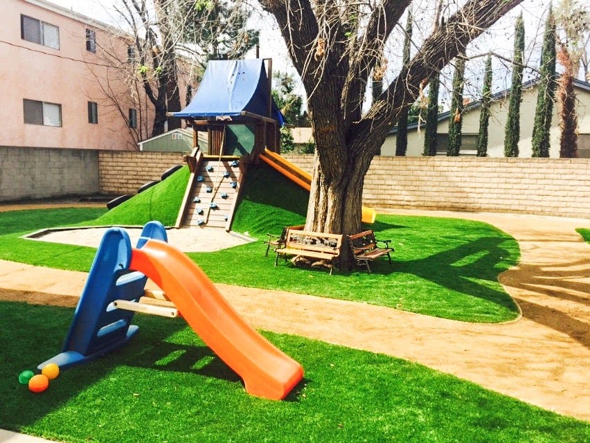 Playground with slides, climbing structure, and tree