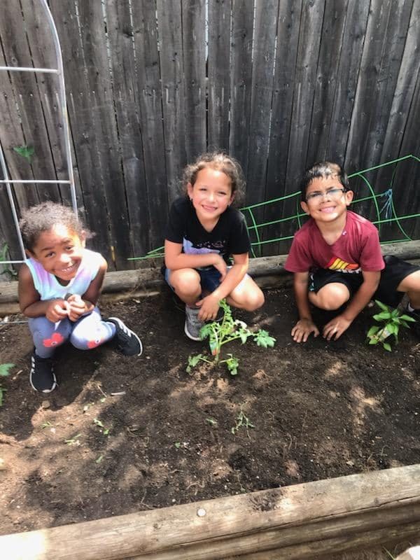 Three children crouching in a garden bed with small plants