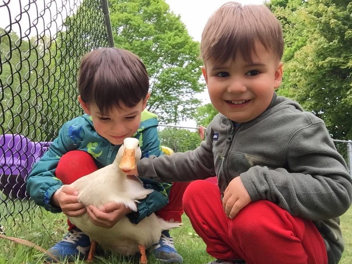 Two children holding a white duck