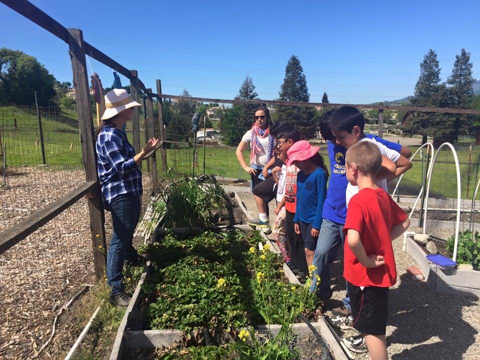 Adult speaking to a group of children in a garden