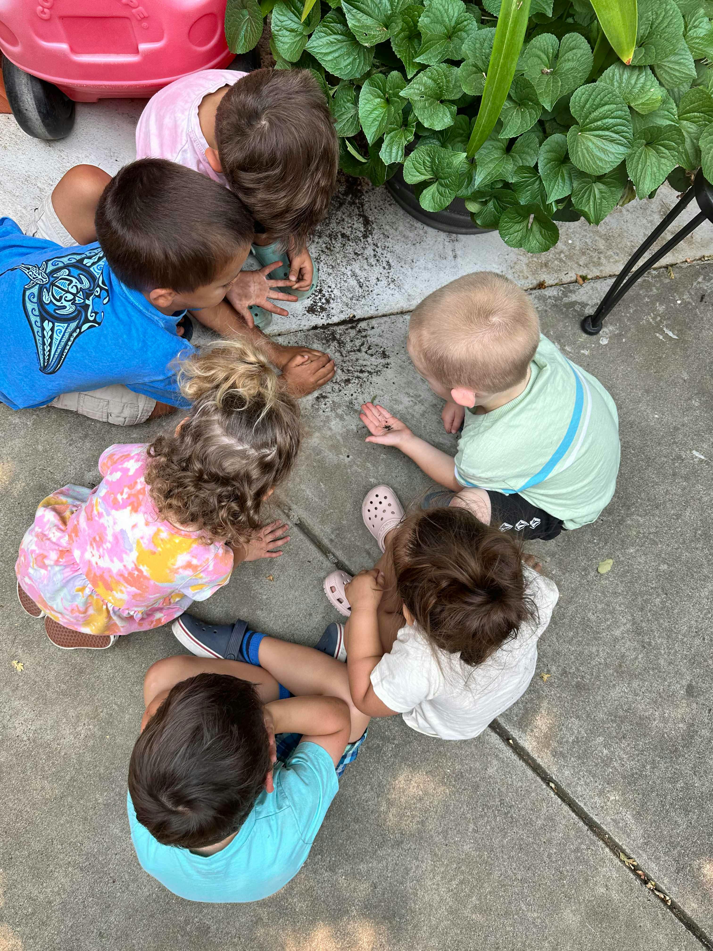 Group of children huddled together looking at something on the ground