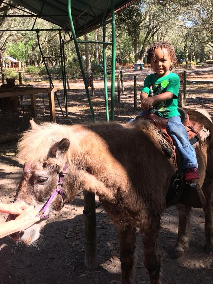 Child riding a pony