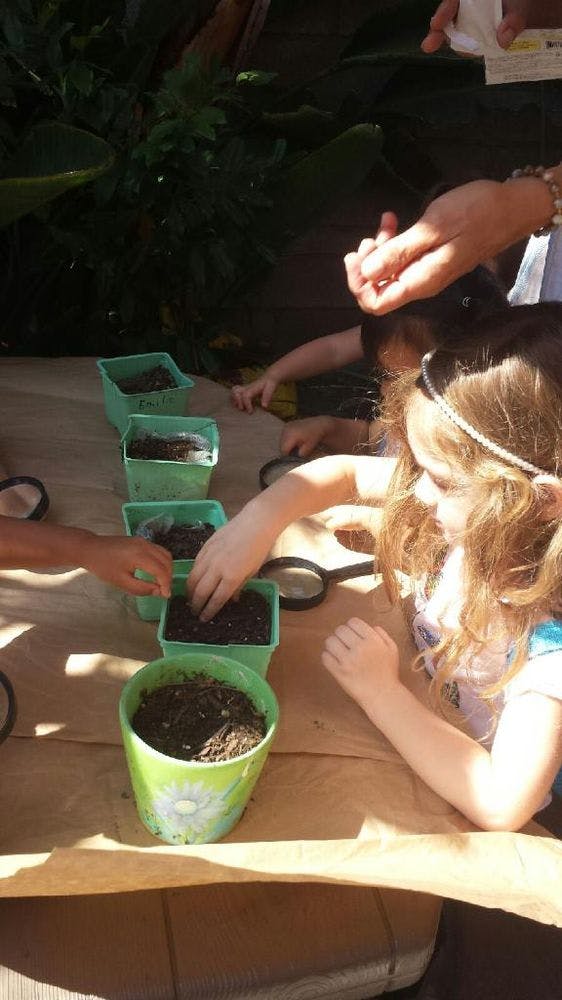 Children planting in small green pots