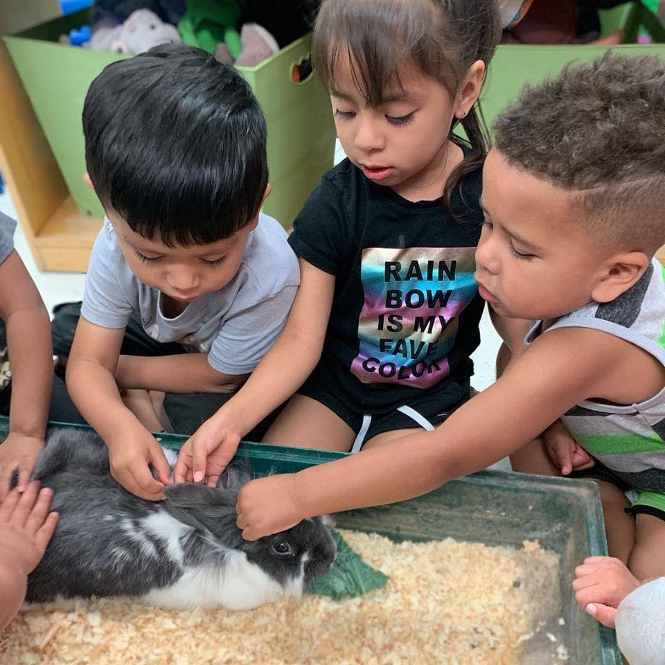 Three children petting a rabbit in a container with wood shavings