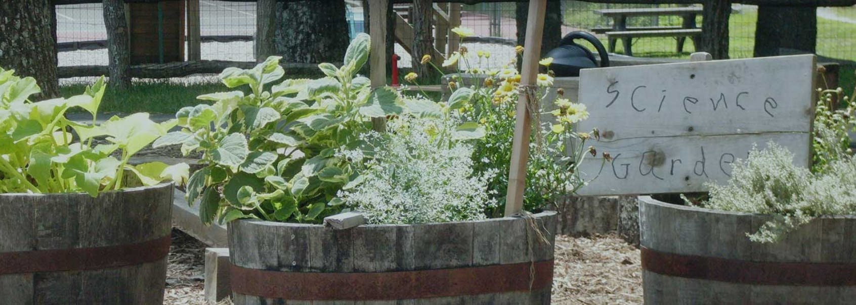 Hampton Preschool and Early Learning Center in Cashiers, NC
