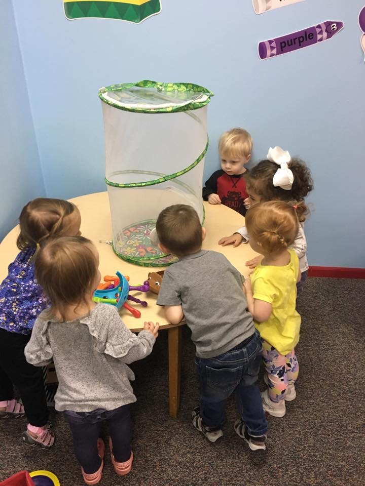 Children gathered around a table with a mesh enclosure