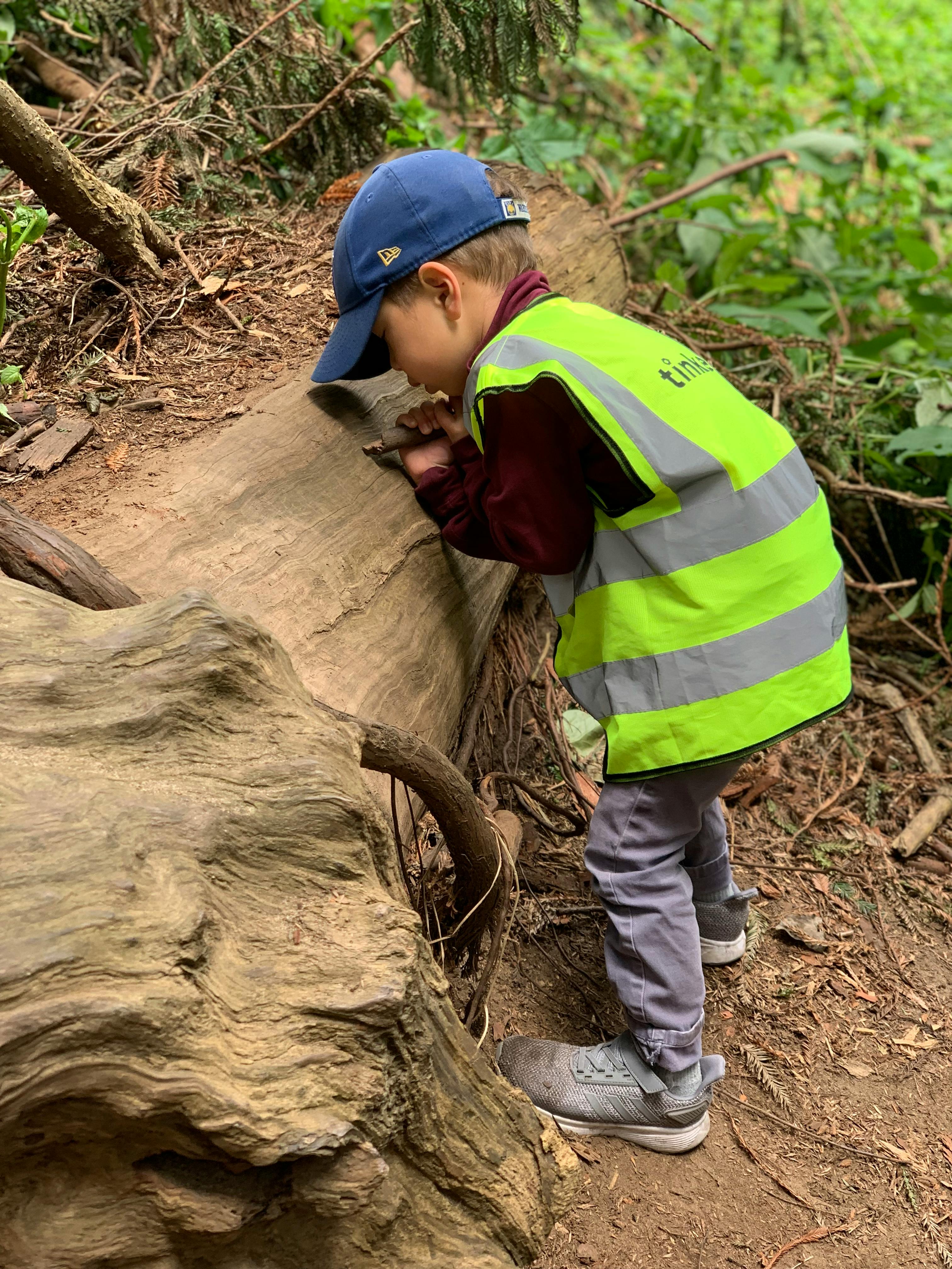 Child in a high-visibility vest looking closely at a log