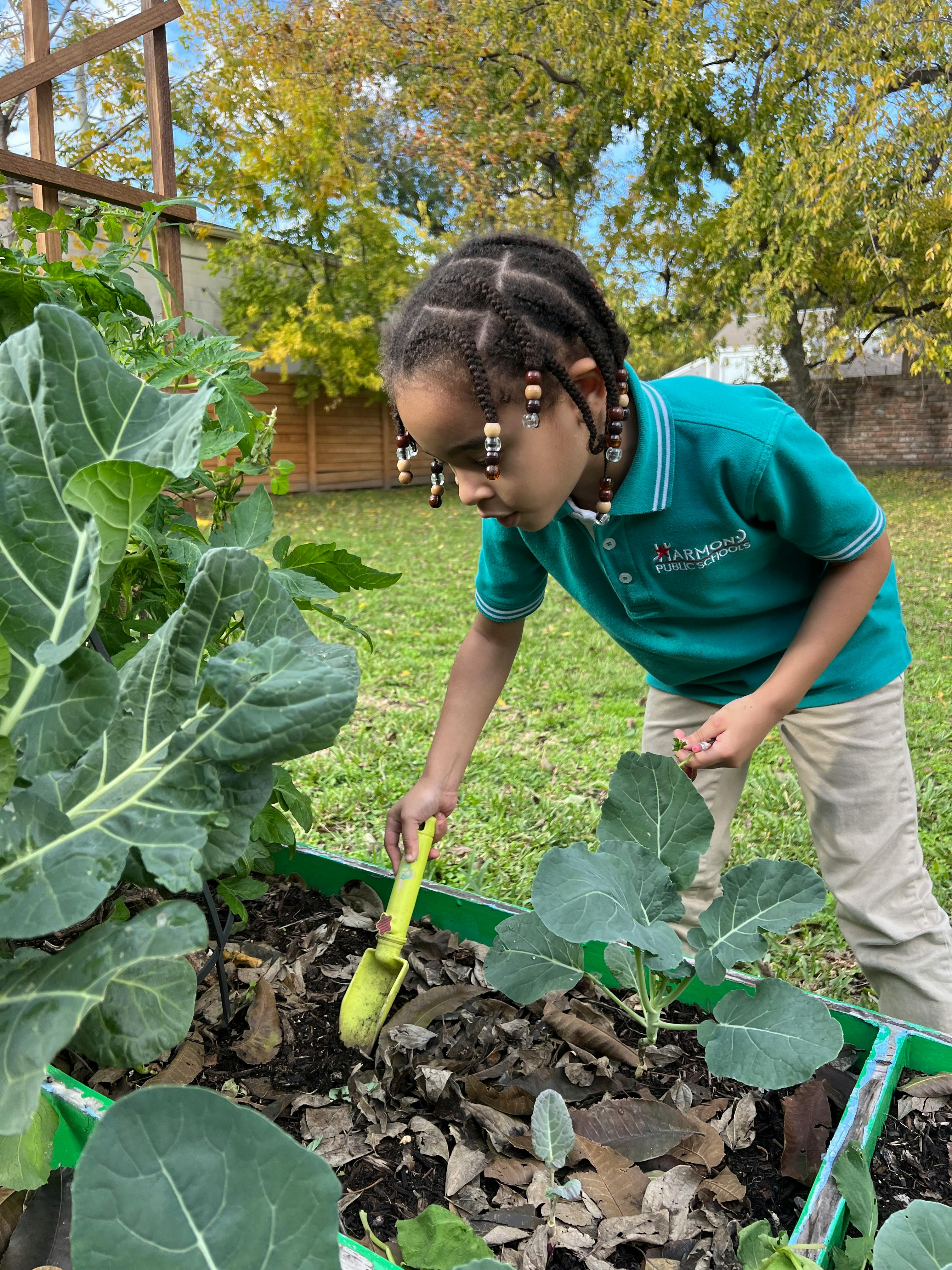 Child using a small shovel in a garden bed