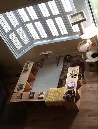 Play area with a table, shelves, and a cat tree under a skylight