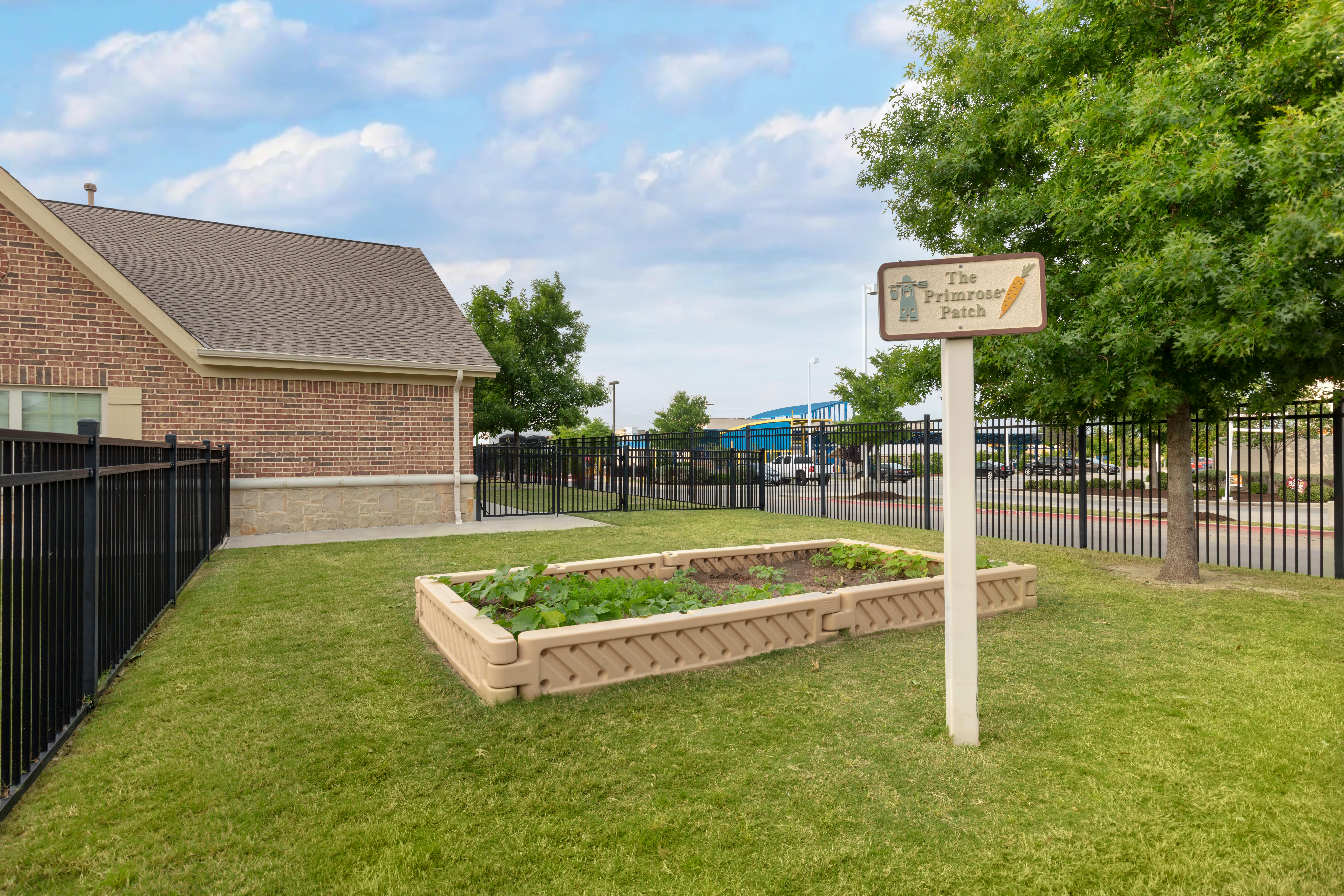 Raised garden bed with green plants next to a sign for "The Primrose Patch"