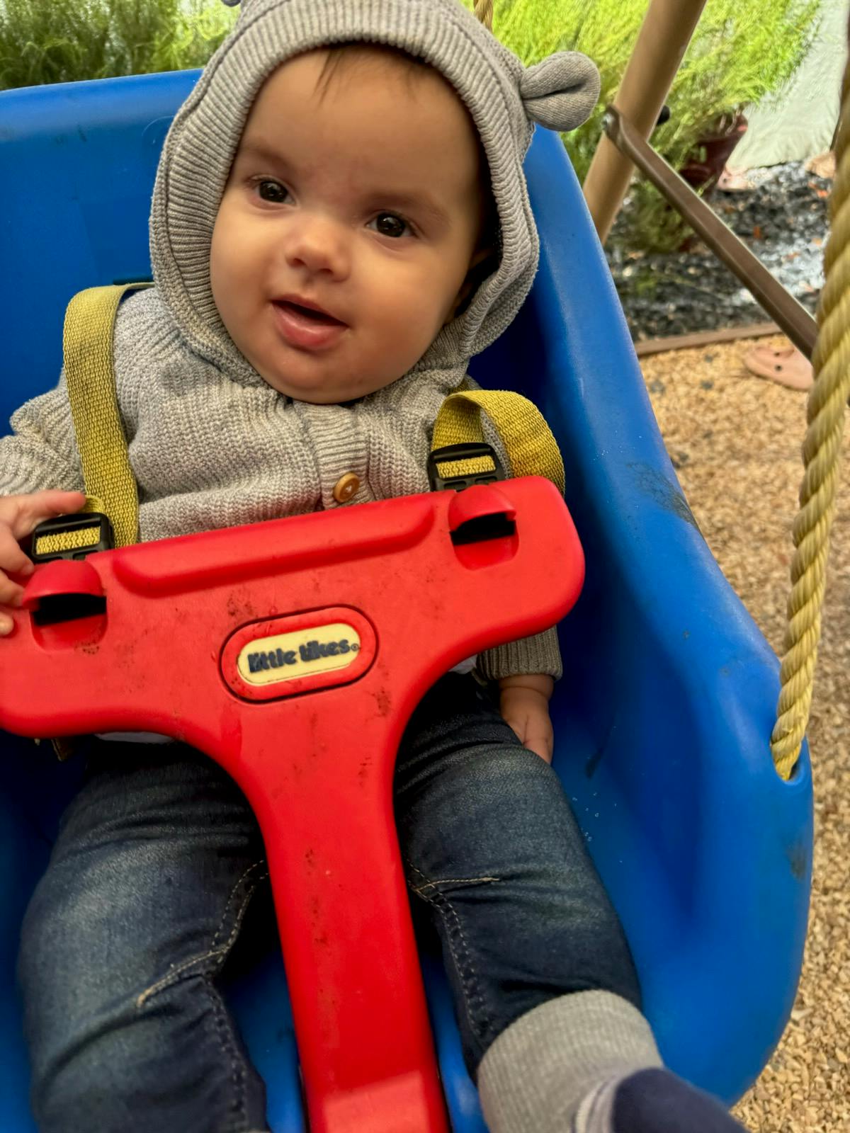 Child in a blue swing with a red safety bar