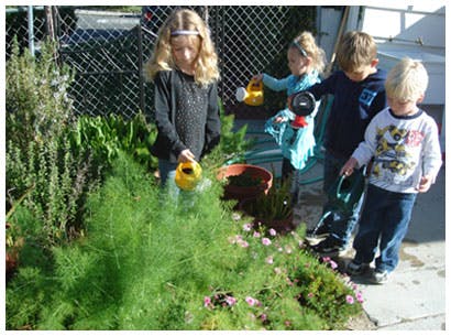 Four children watering plants in a garden