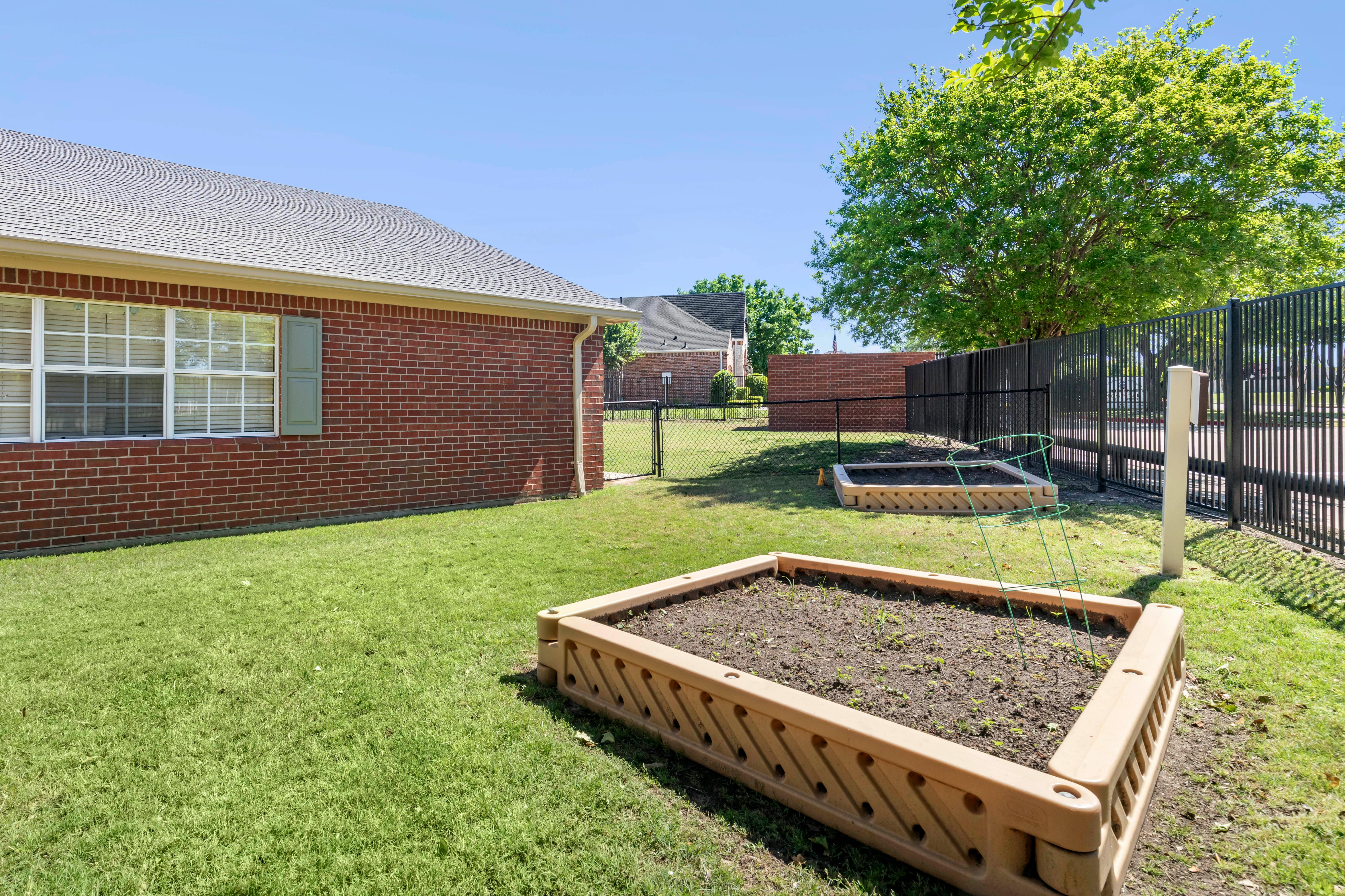 Raised garden beds with seedlings in a grassy backyard