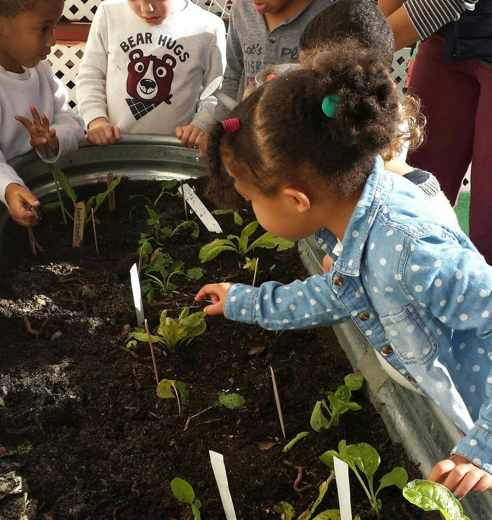 Children looking at plants in a raised garden bed