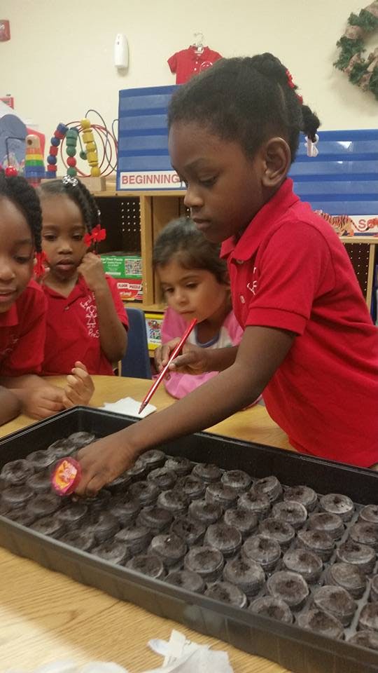 Child planting seeds in a tray with other children in a classroom