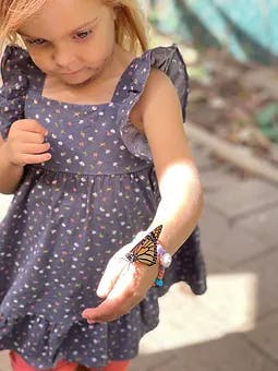 Child looking at a butterfly on their arm