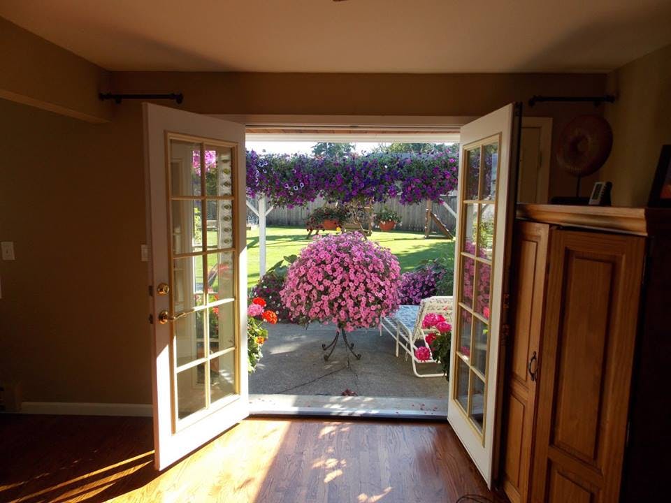 Open french doors looking out to a patio with a large pink flowering plant