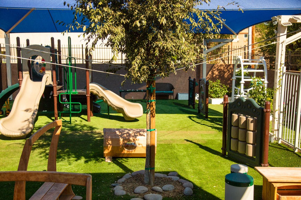 Playground with green turf, slides, climbing structures, and a small tree