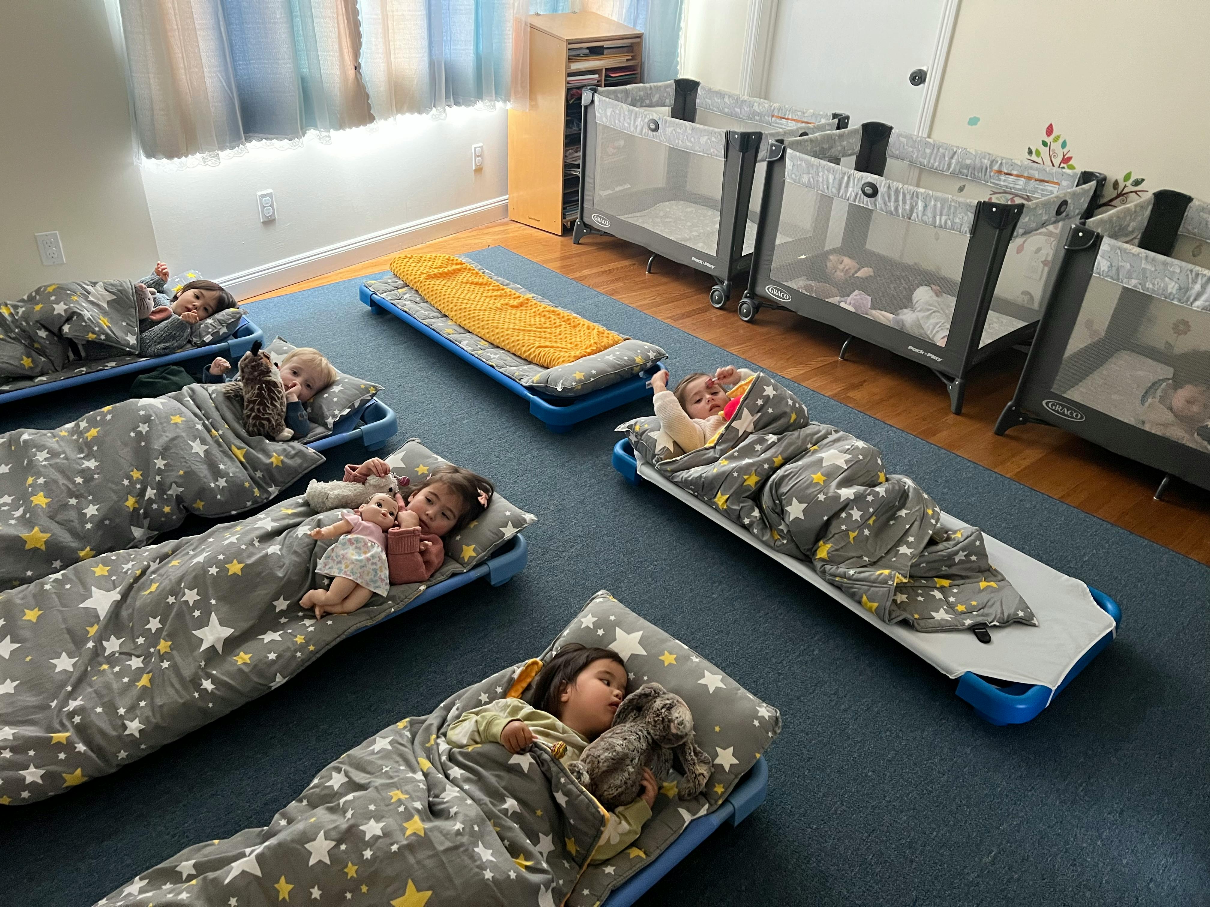Children sleeping on cots in a room
