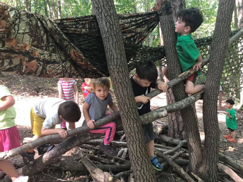 Children playing with branches and climbing trees outdoors