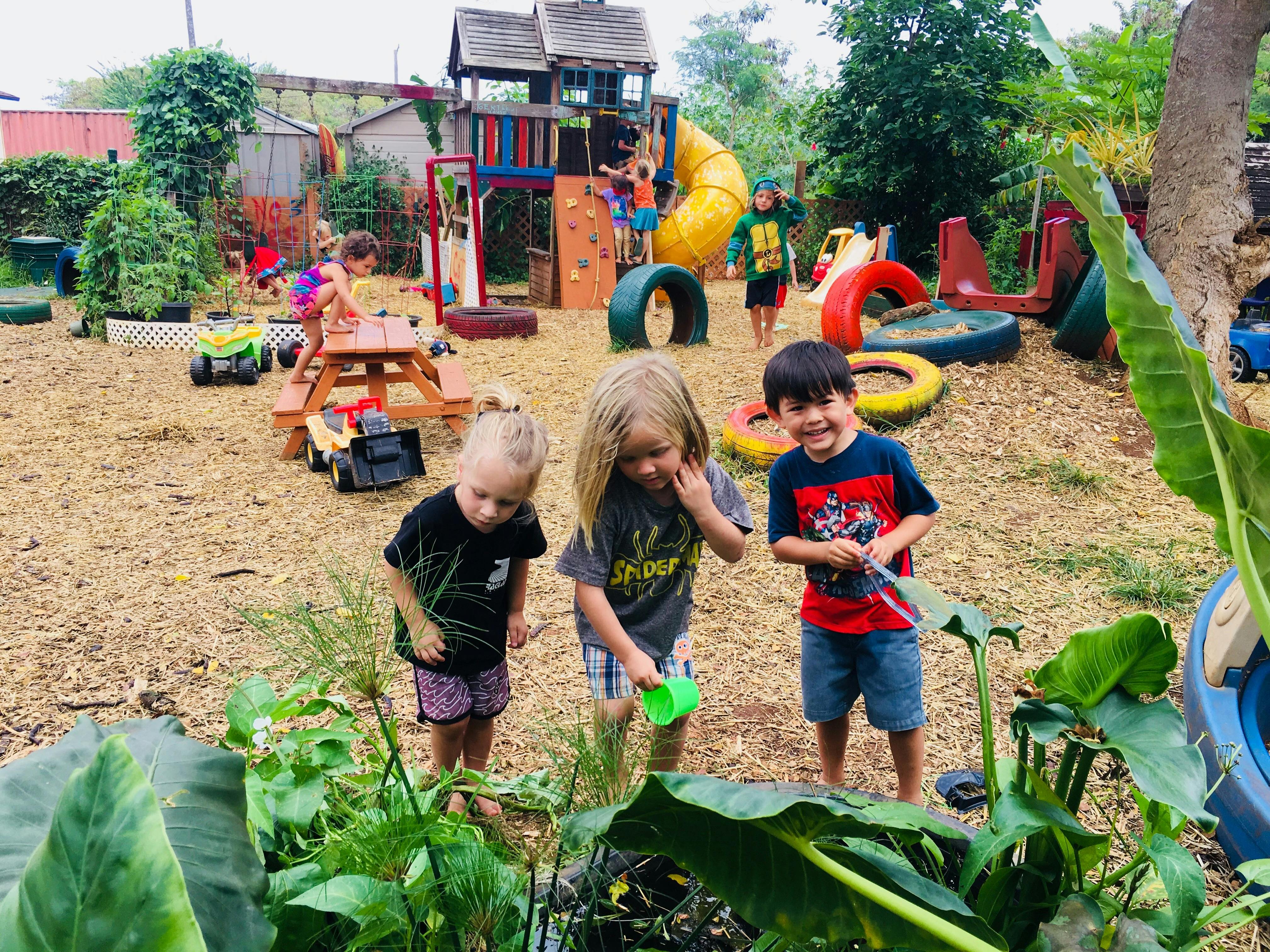 Ka Hana Pono Daycare and Preschool in Haleiwa, HI