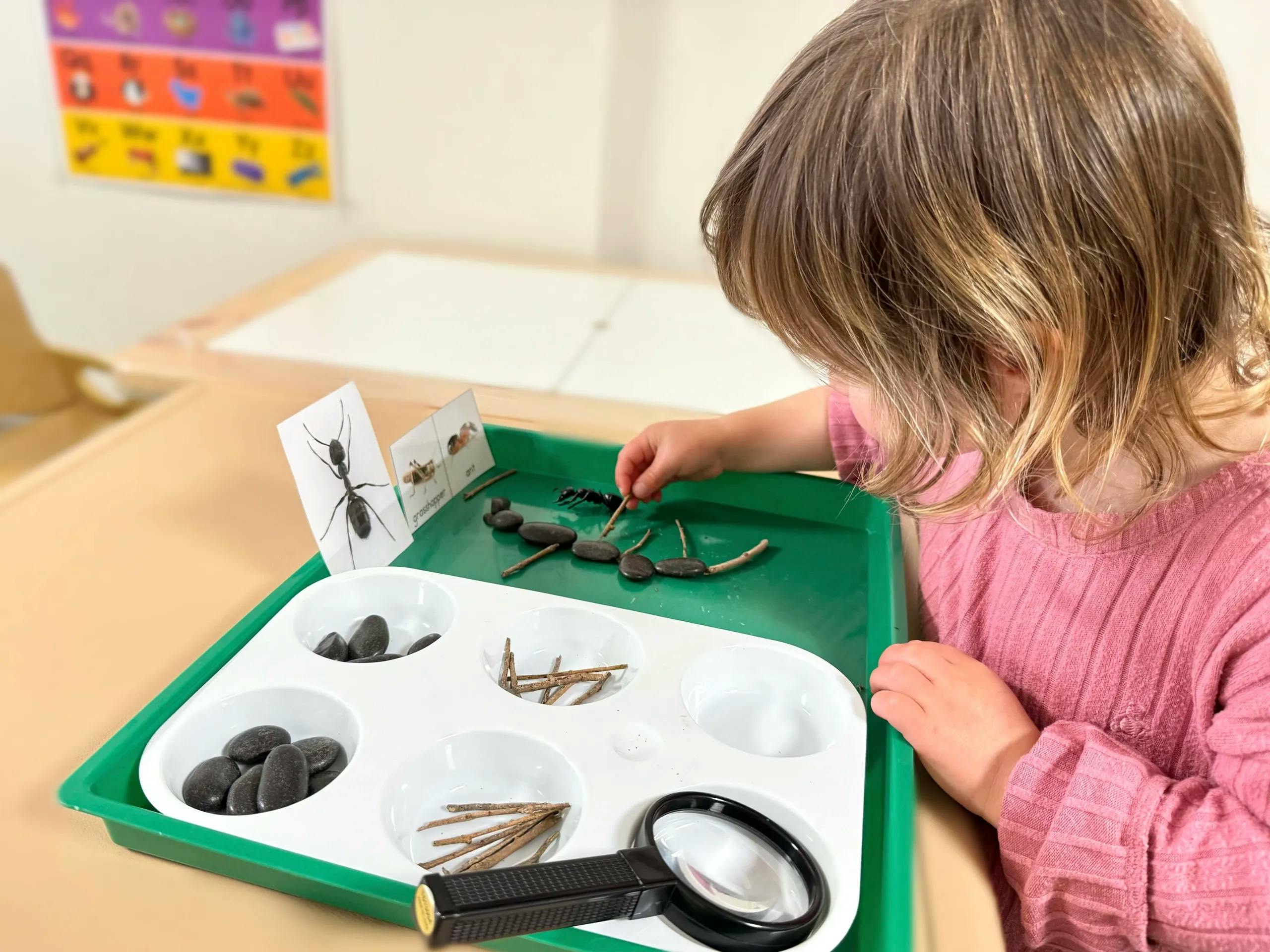 Child playing with insect models and natural materials