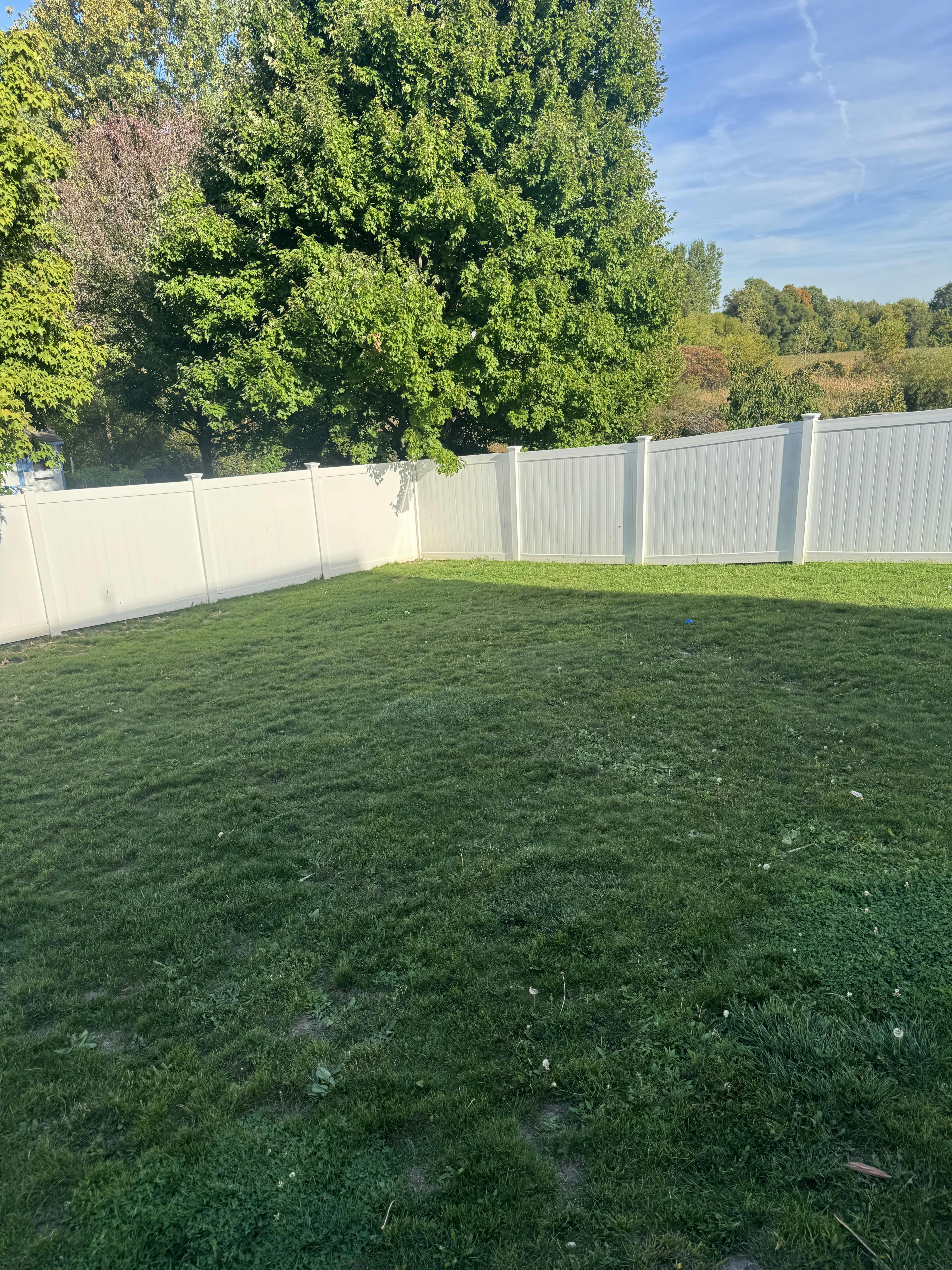 Grassy yard with a white fence and green fence