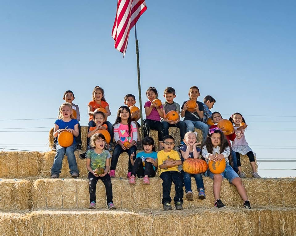 Group of children and teens sitting on hay bales holding pumpkins