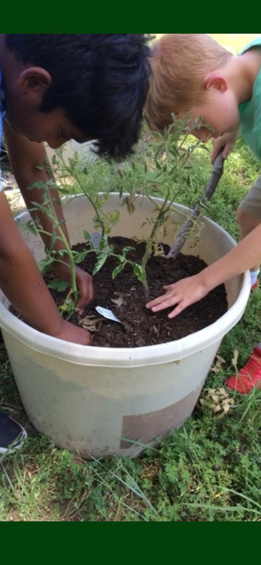 Two children planting in a large pot