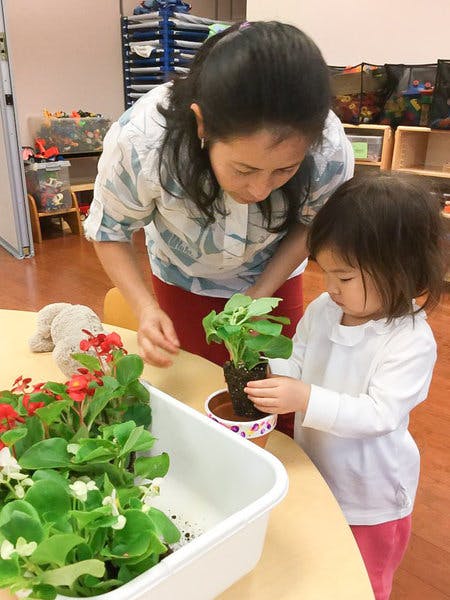 Adult and child planting a small plant in a pot