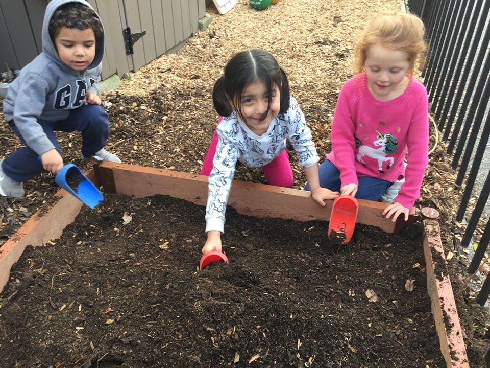 Three children digging in a garden bed with small shovels