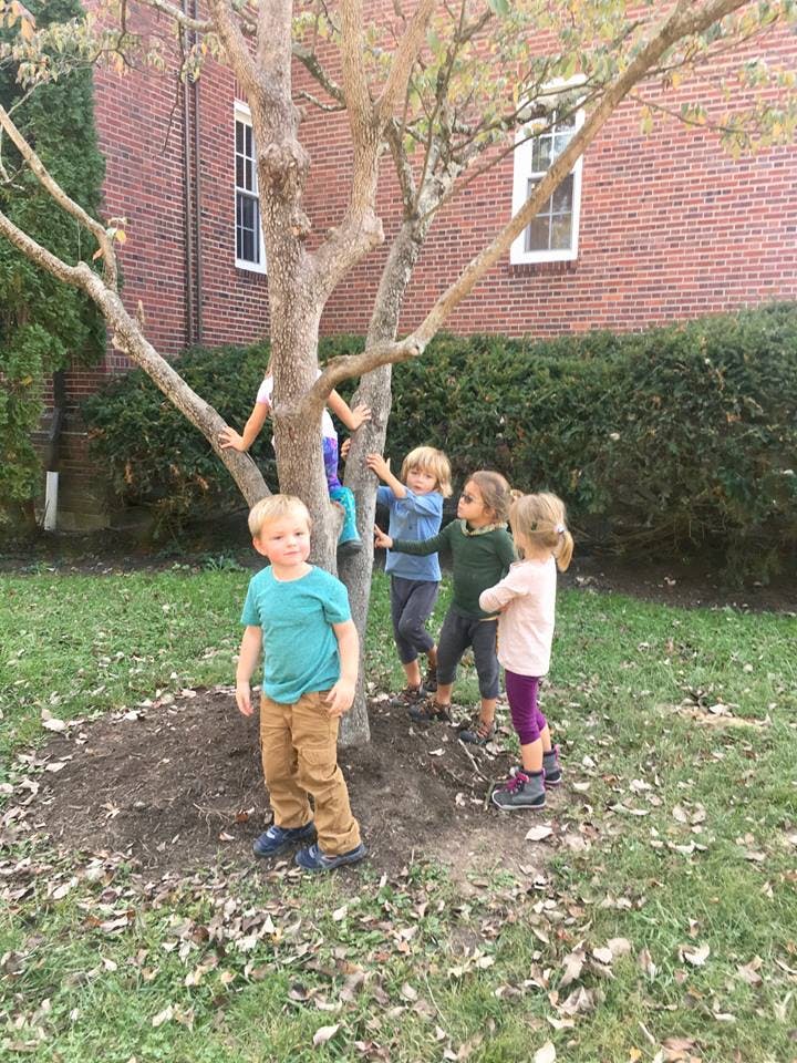 Children playing around a tree