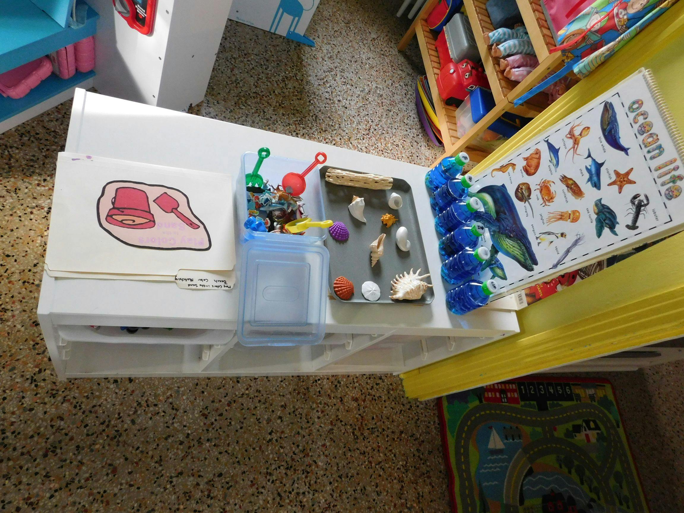 Tabletop with ocean life book, seashells, and sand toy drawing
