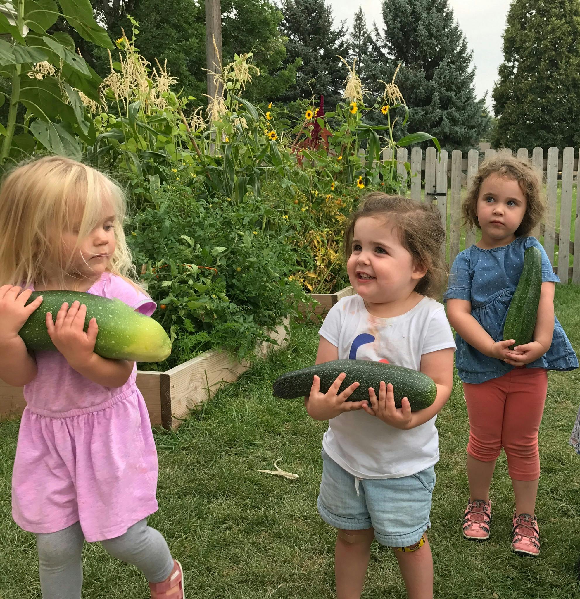 Three children holding large cucumbers in a garden