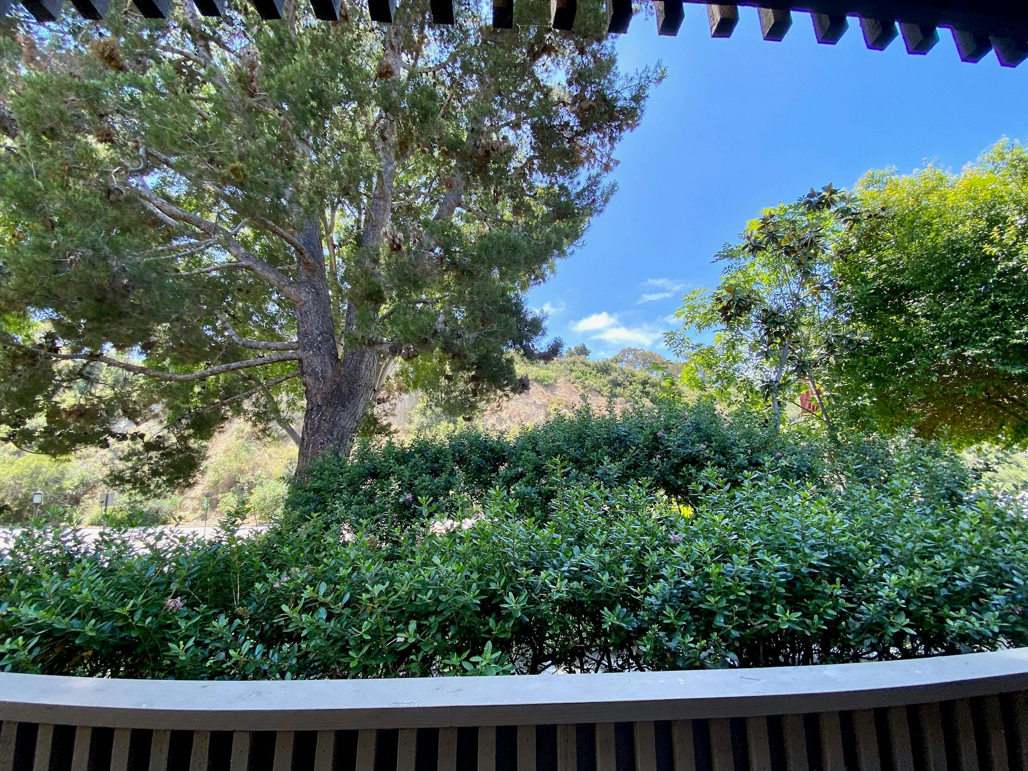 Friends Home Daycare Daycare in La Jolla, CA Winnie