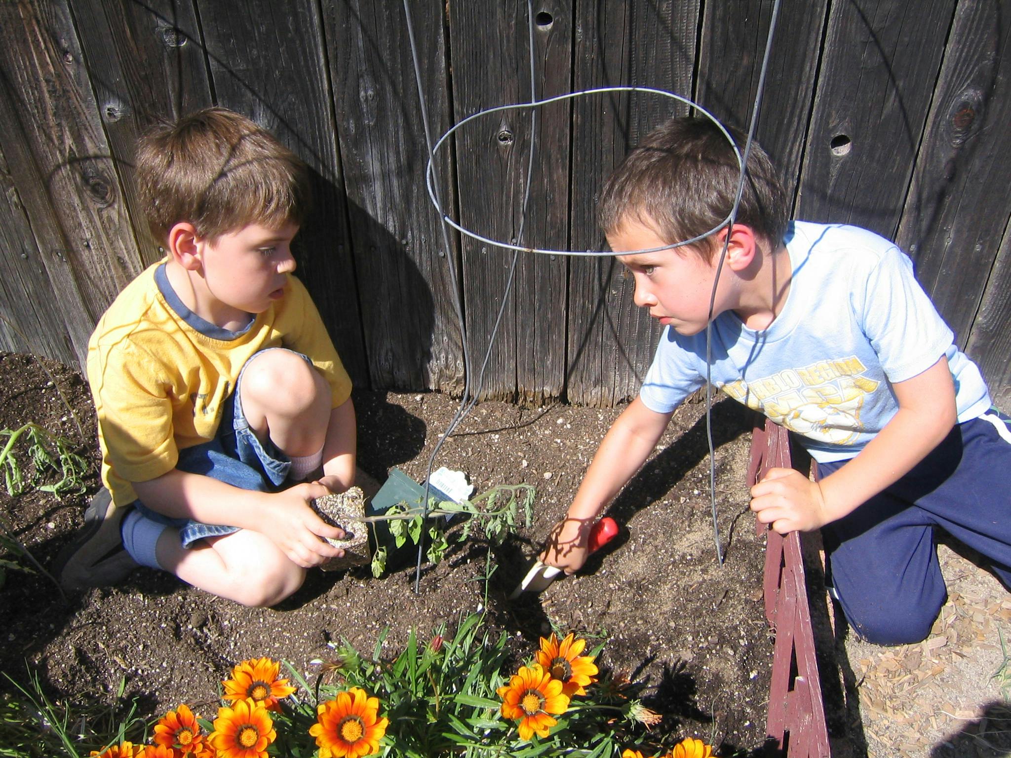 Two children gardening, one digging with a trowel