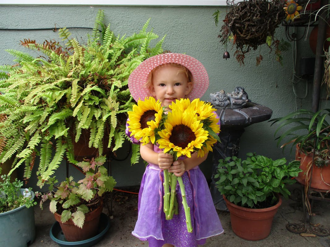 Child in a hat holding a bouquet of sunflowers