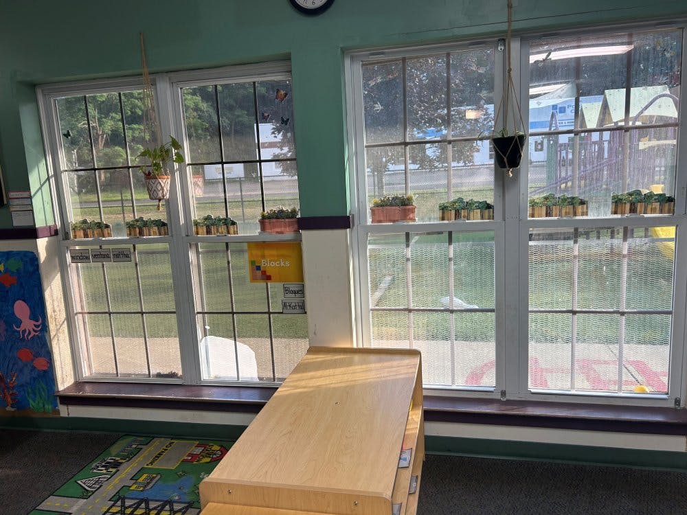 Classroom windows with planters, a hanging plant, and a wooden shelf