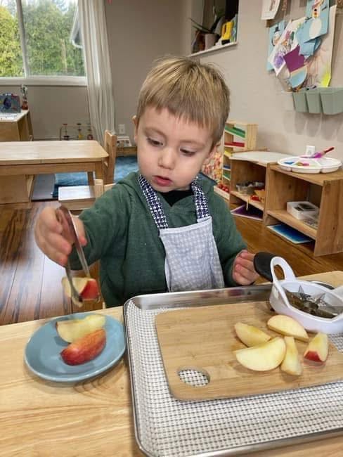 Child in an apron using tongs to pick up an apple slice in a classroom
