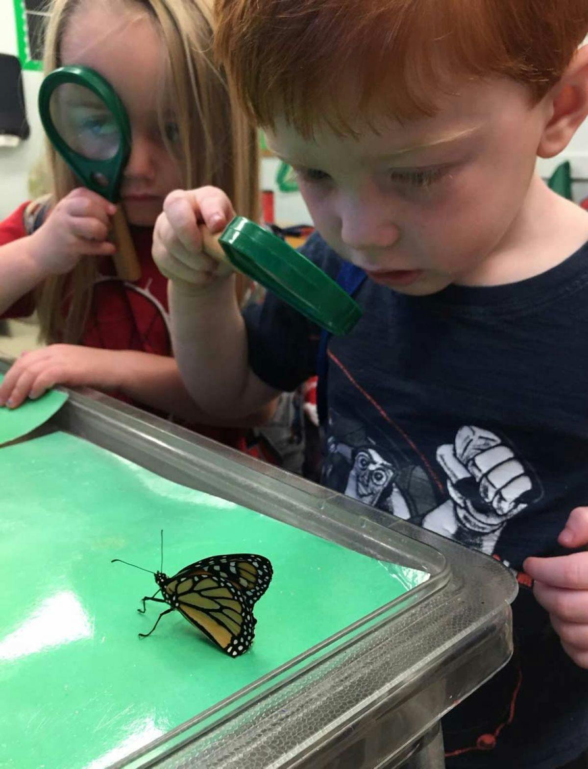 Pudding Hill Preschool Preschool in Marshfield, MA Winnie