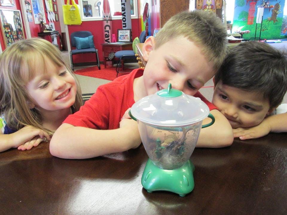 Three children looking at an insect habitat on a table
