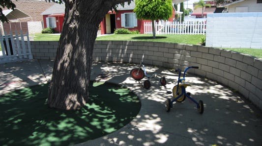 Two tricycles on a paved area under a tree