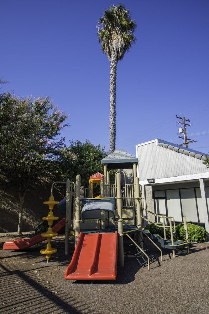 Playground with slides and climbing structures under a tall palm tree